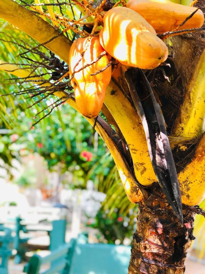 Paradise Garden Beruwala Eksteriør bilde
