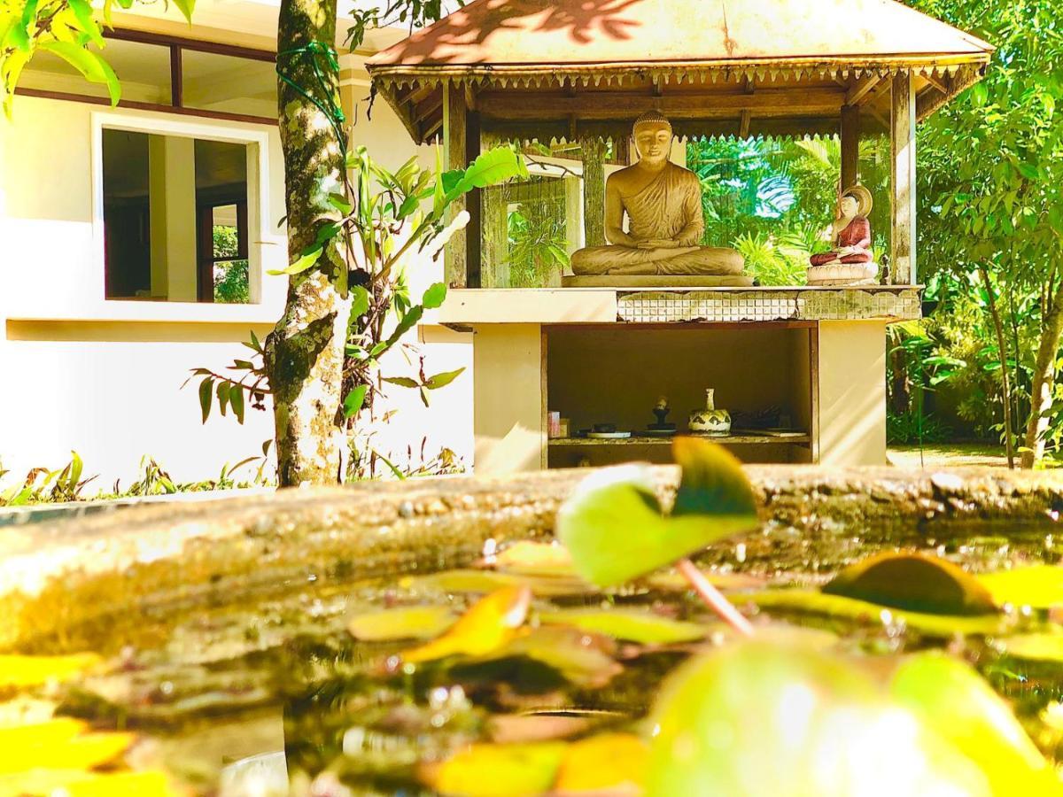 Paradise Garden Beruwala Eksteriør bilde