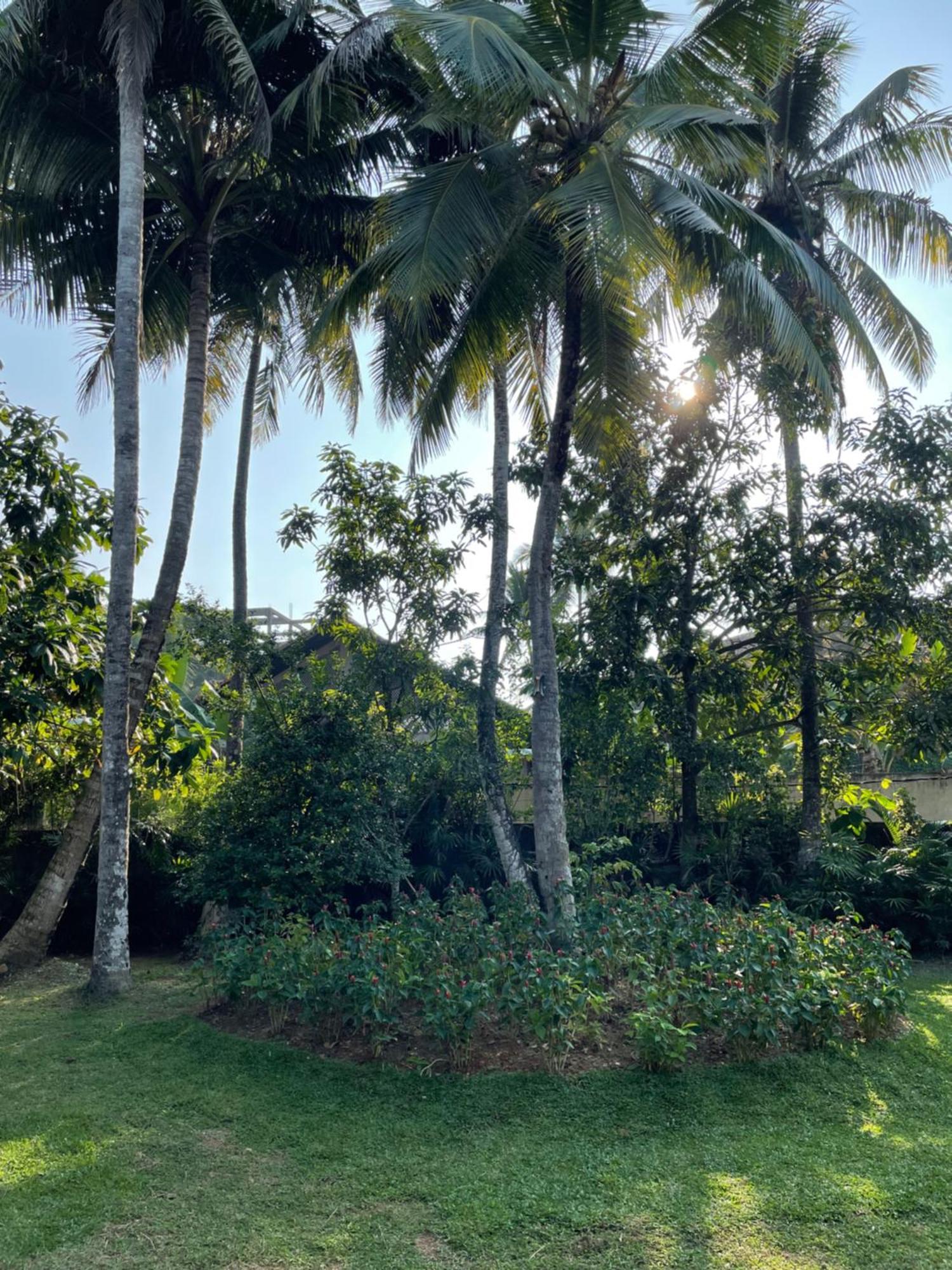 Paradise Garden Beruwala Eksteriør bilde